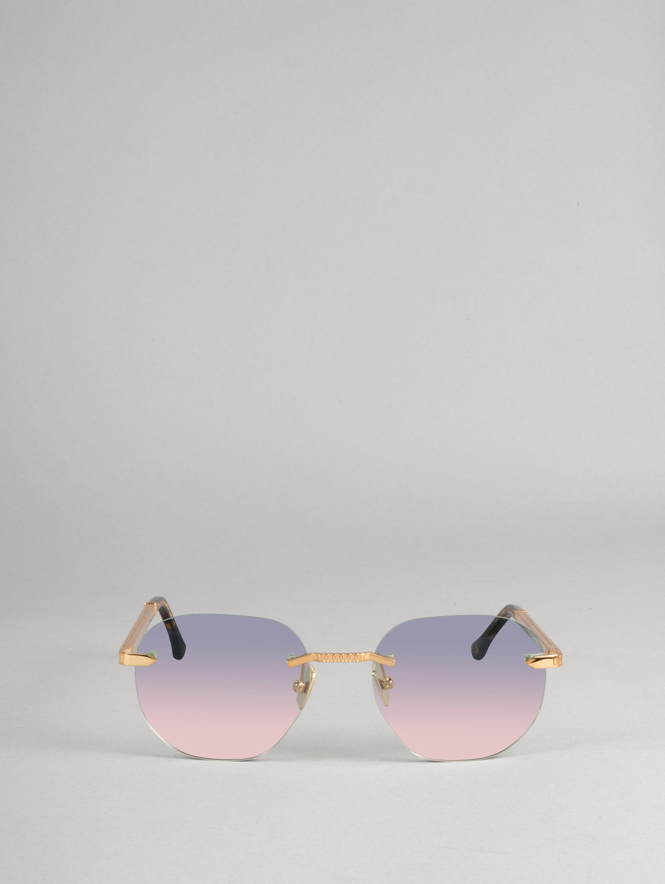 IRS46-IGLD-011