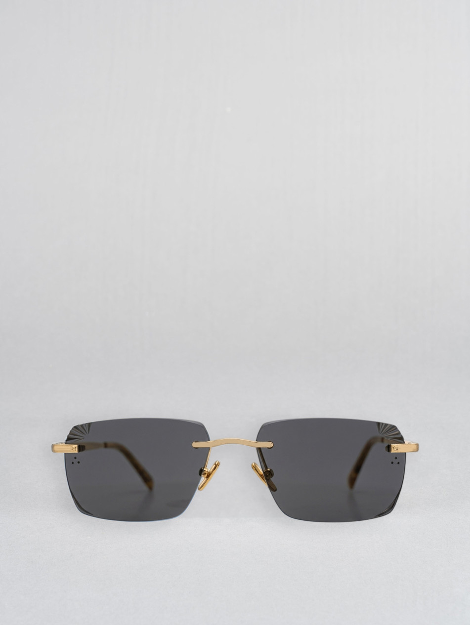 IRS116-001